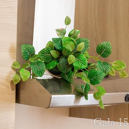 Gala158Due Apartment โบโลญญา ภายนอก รูปภาพ